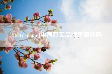 昌邑中国冠军品牌是真的吗