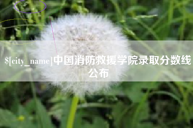 昌邑中国消防救援学院录取分数线公布