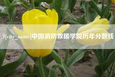 昌邑中国消防救援学院历年分数线