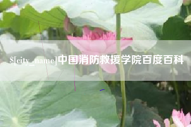 昌邑中国消防救援学院百度百科