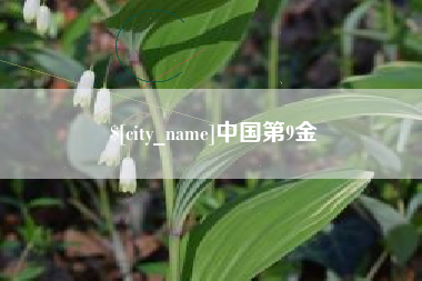 昌邑中国第9金