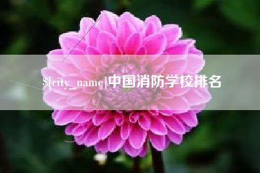 昌邑中国消防学校排名