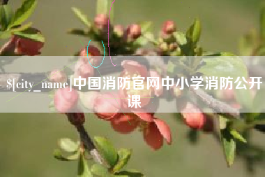 昌邑中国消防官网中小学消防公开课