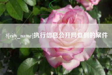 昌邑执行信息公开网查到的案件