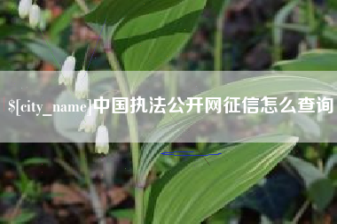 昌邑中国执法公开网征信怎么查询