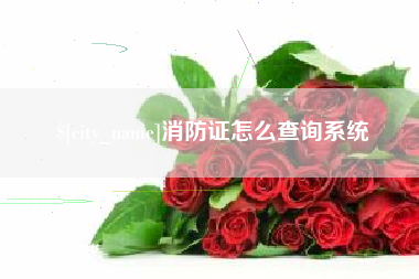 昌邑消防证怎么查询系统