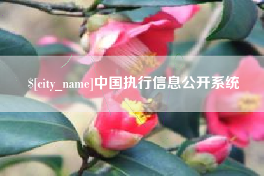 昌邑中国执行信息公开系统