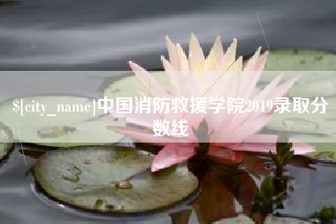 昌邑中国消防救援学院2019录取分数线