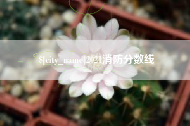 昌邑2021消防分数线