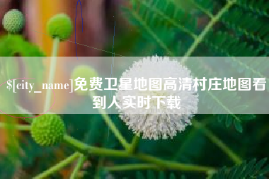 昌邑免费卫星地图高清村庄地图看到人实时下载