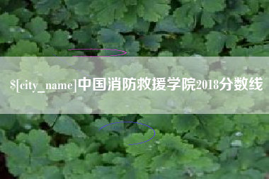昌邑中国消防救援学院2018分数线