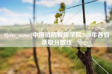 昌邑中国消防救援学院2020年各省录取分数线