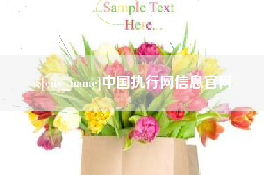 昌邑中国执行网信息官网