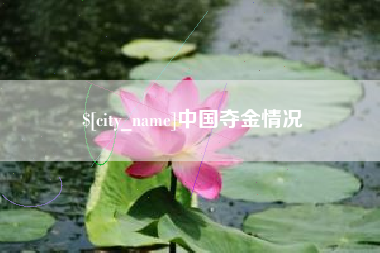昌邑中国夺金情况