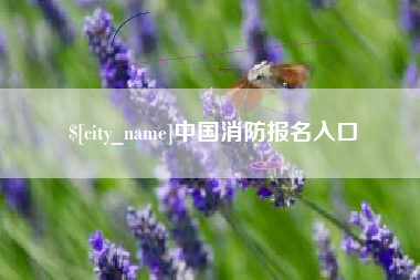 昌邑中国消防报名入口
