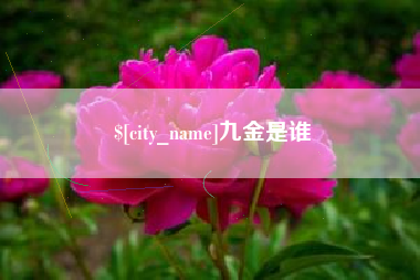 昌邑九金是谁