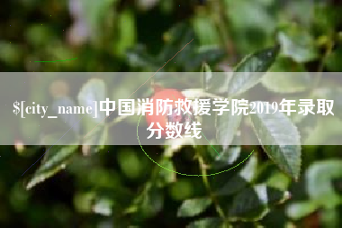 昌邑中国消防救援学院2019年录取分数线