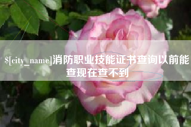 昌邑消防职业技能证书查询以前能查现在查不到