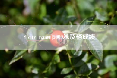昌邑5000米及格成绩