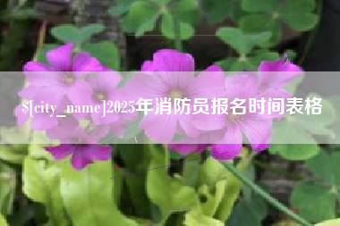 昌邑2025年消防员报名时间表格