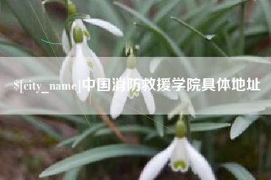 昌邑中国消防救援学院具体地址