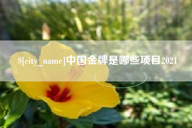昌邑中国金牌是哪些项目2021