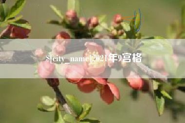 昌邑2021年9宫格
