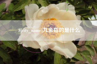 昌邑九金指的是什么