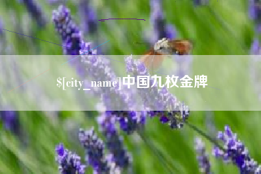 昌邑中国九枚金牌