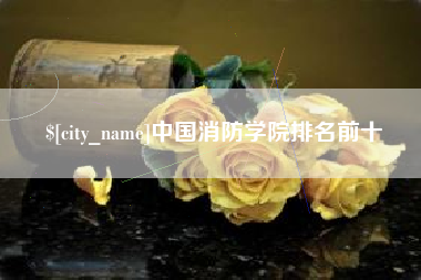 昌邑中国消防学院排名前十