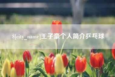 昌邑王子豪个人简介乒乓球