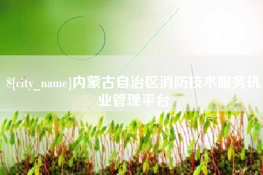 昌邑内蒙古自治区消防技术服务执业管理平台