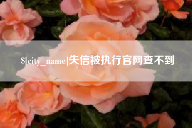 昌邑失信被执行官网查不到