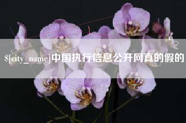 昌邑中国执行信息公开网真的假的
