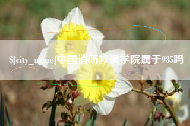 昌邑中国消防救援学院属于985吗