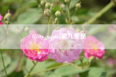 昌邑第九金是