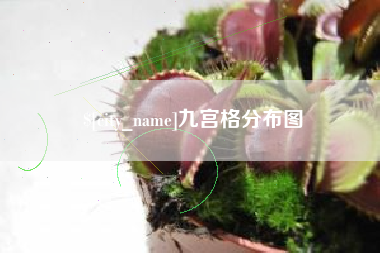昌邑九宫格分布图
