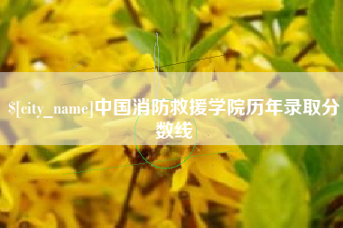 昌邑中国消防救援学院历年录取分数线