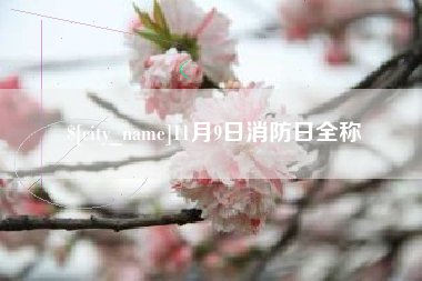 昌邑11月9日消防日全称