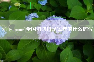 昌邑全国消防日是每年的什么时候