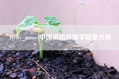昌邑中国消防救援学院录分线