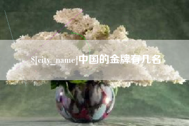 昌邑中国的金牌有几名
