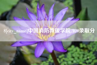 昌邑中国消防救援学院2020录取分