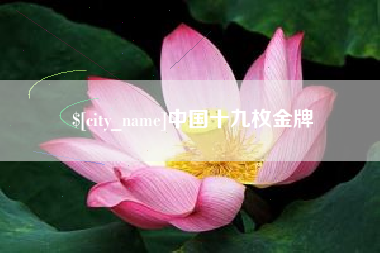 昌邑中国十九枚金牌