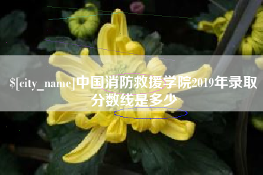 昌邑中国消防救援学院2019年录取分数线是多少