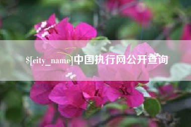 昌邑中国执行网公开查询