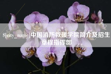 昌邑中国消防救援学院简介及招生章程指挥部