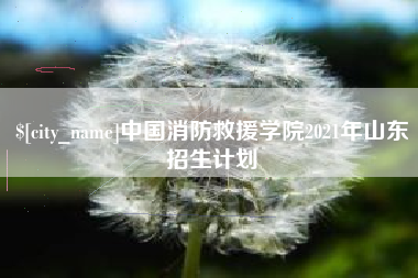 昌邑中国消防救援学院2021年山东招生计划