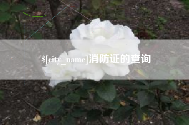 昌邑消防证的查询