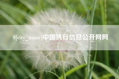 昌邑中国执行信息公开网网